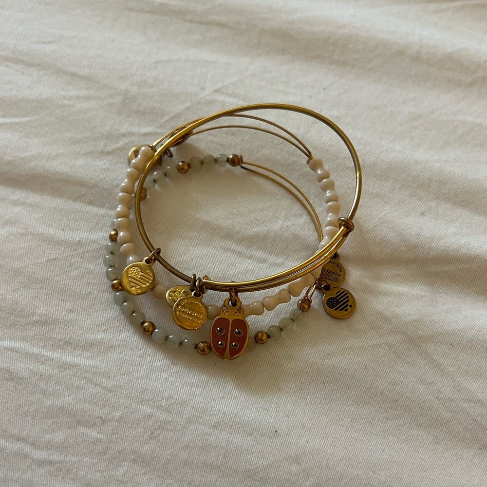 Alex and Ani Ladybug Bracelet Set